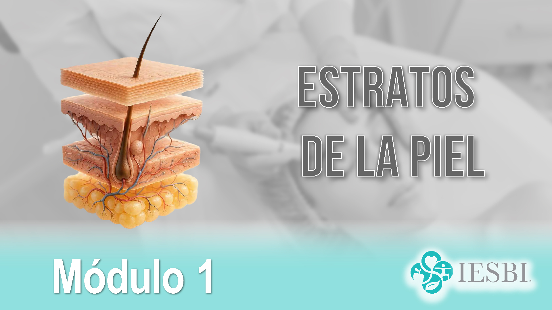 Módulo 01